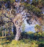 Guy Rose The Oak oil painting reproduction